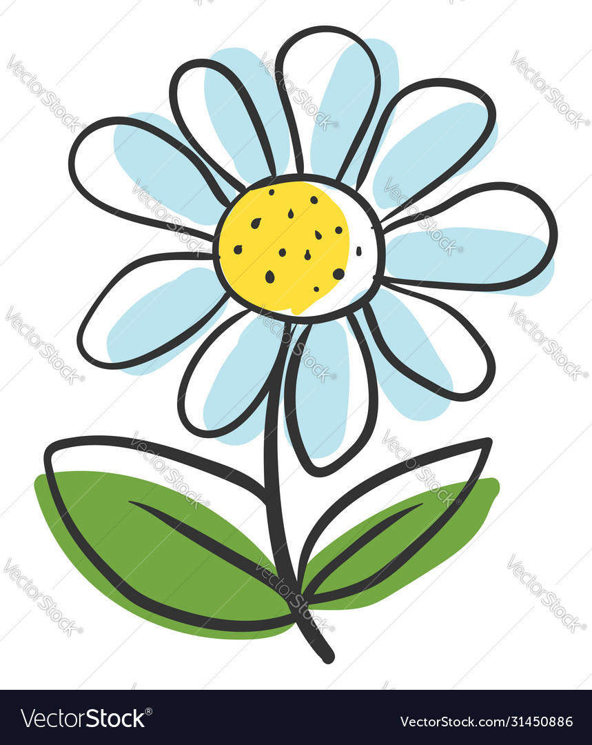 Flower drawing on white background Royalty Free Vector Image