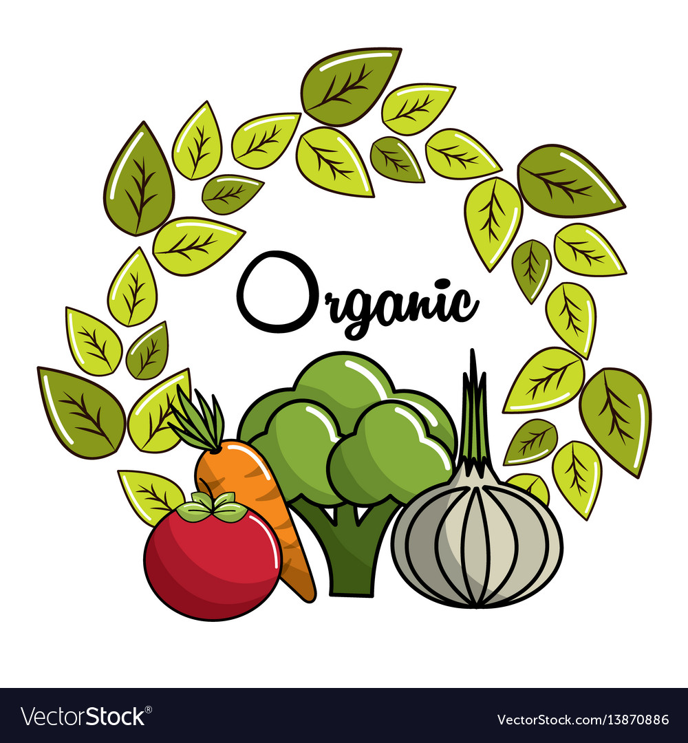 Vegetarian food icon stock Royalty Free Vector Image