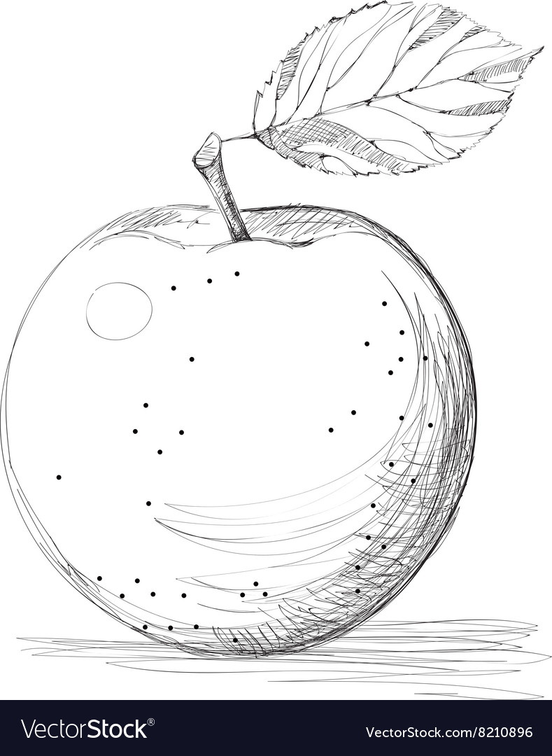 Apple graphic. Скетч яблоко Графика