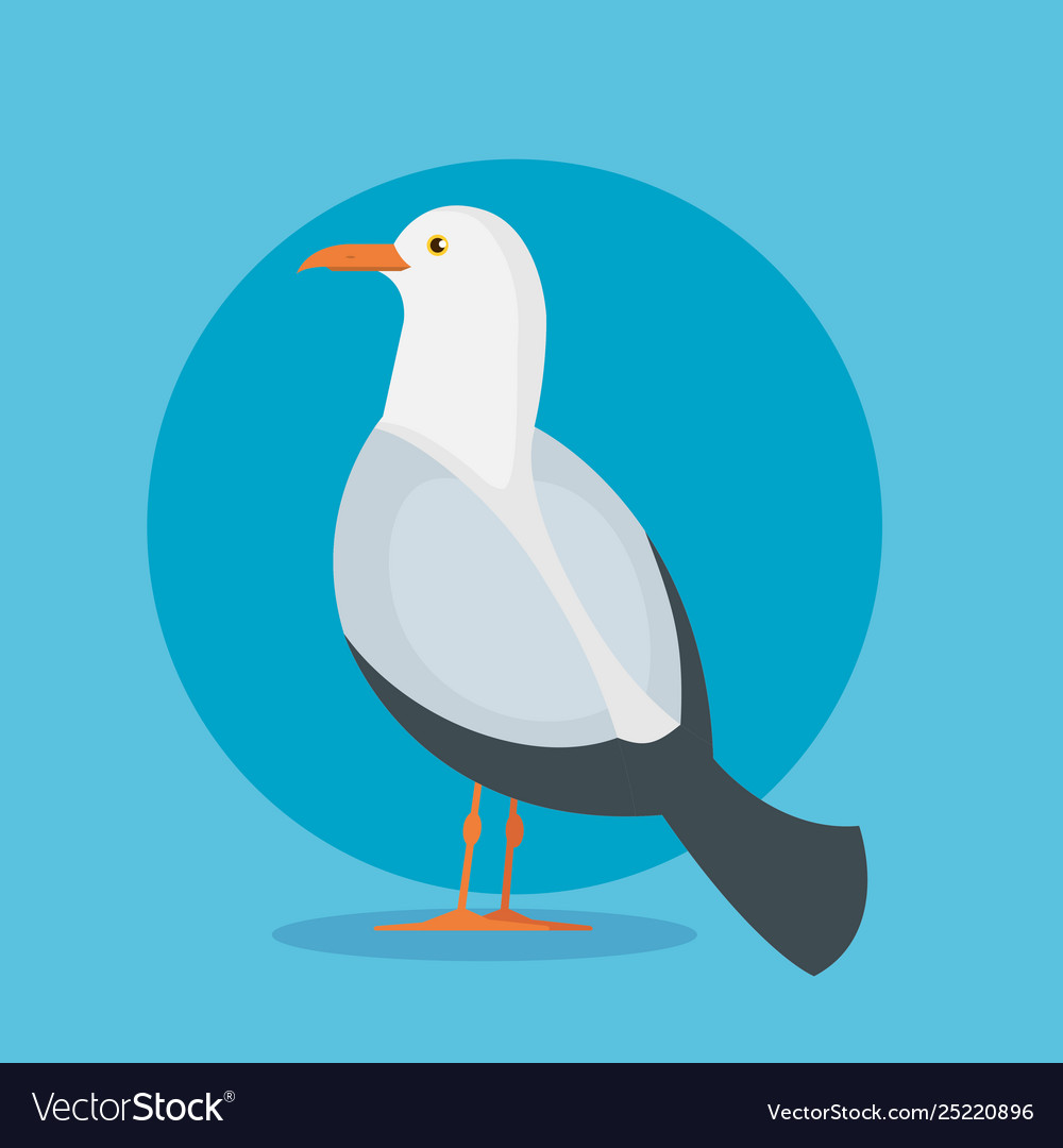 Dove bird animal with wings and feathers Vector Image