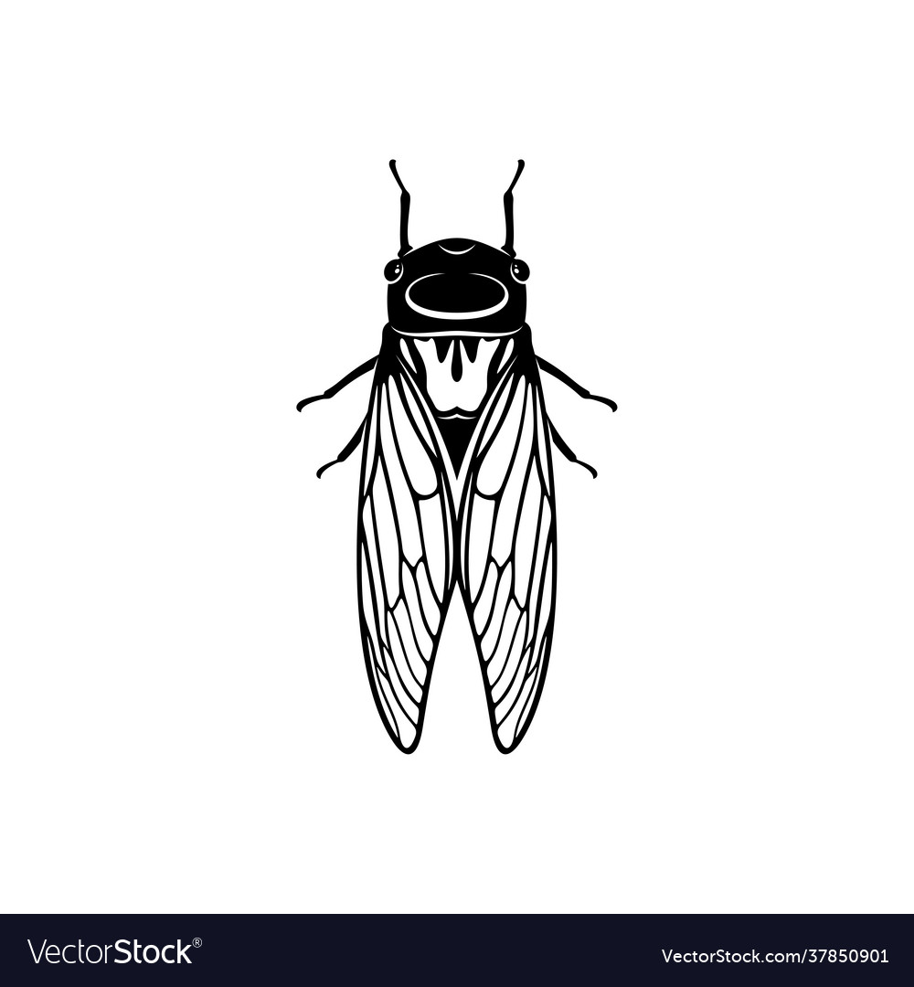 Cicada design creative logo Royalty Free Vector Image