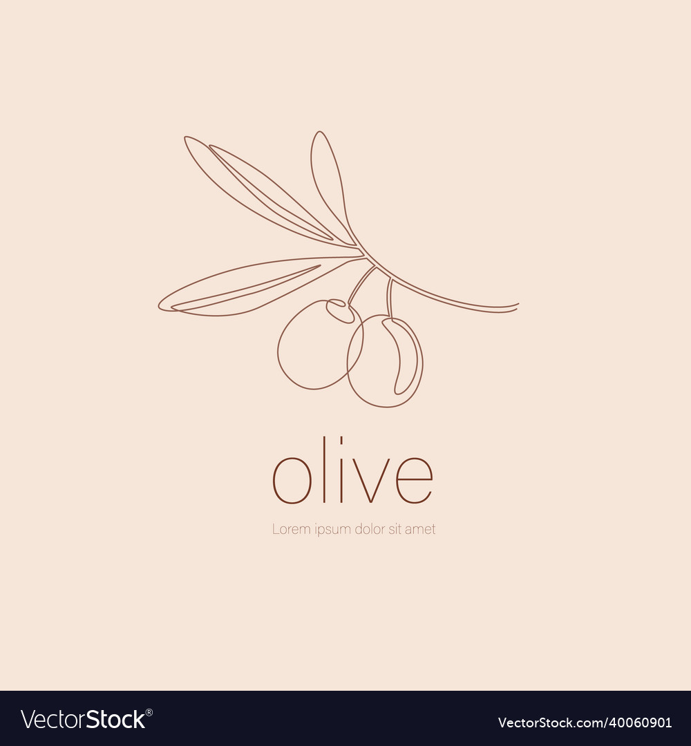 Olive leaves in continuous line art drawing style Vector Image