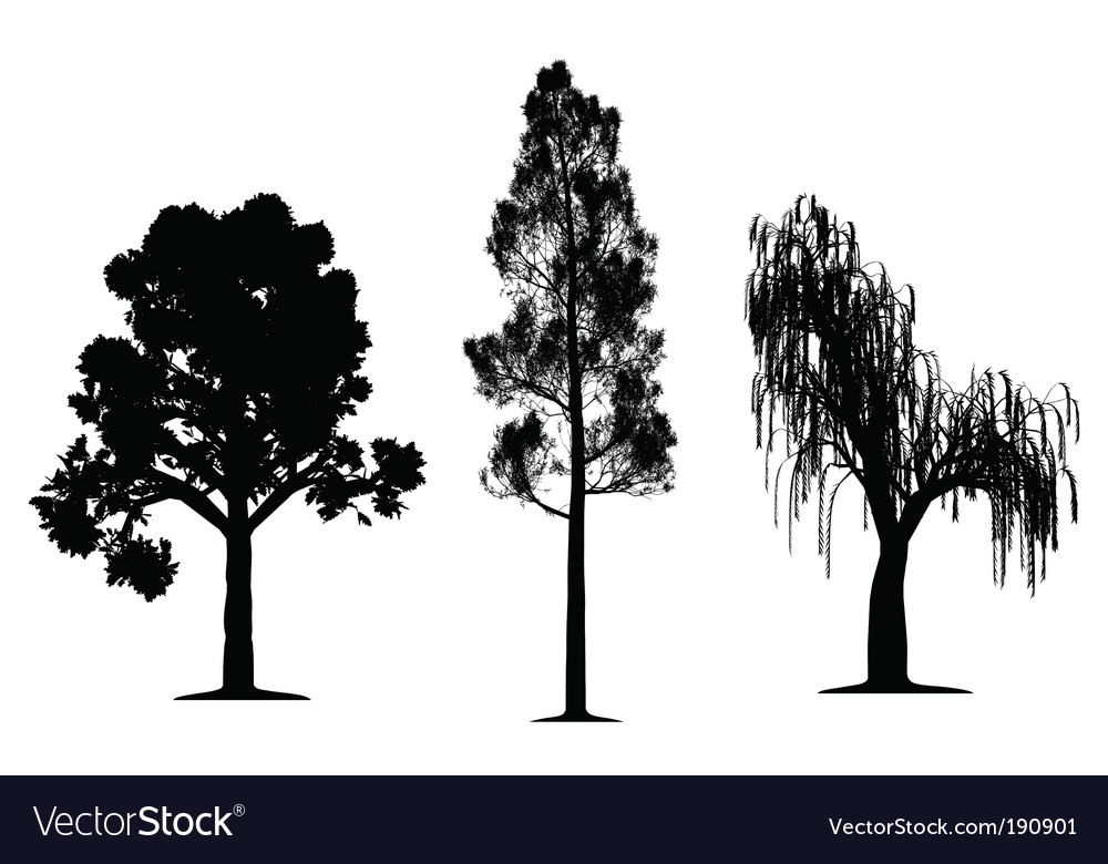 Download Tree silhouettes Royalty Free Vector Image - VectorStock