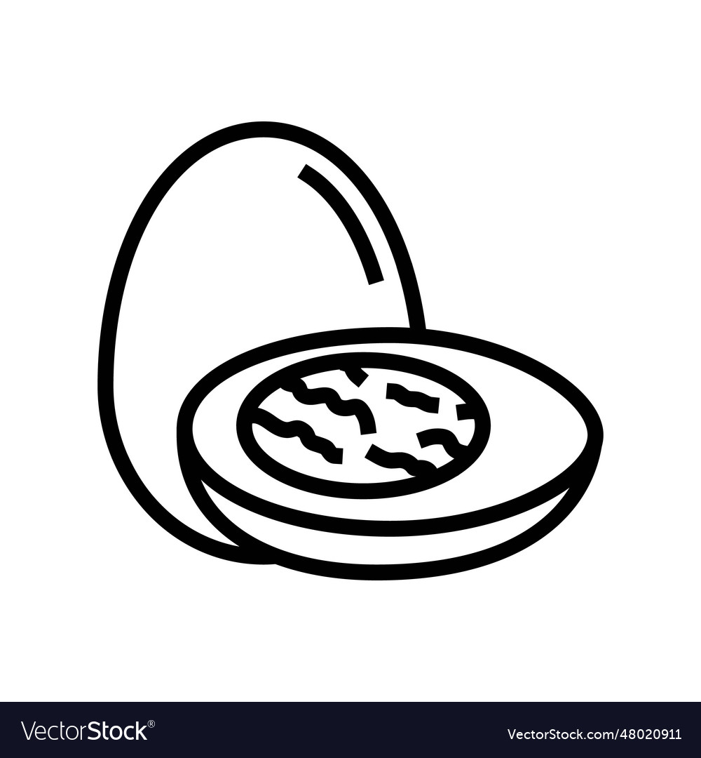 Boiled egg cut hen line icon