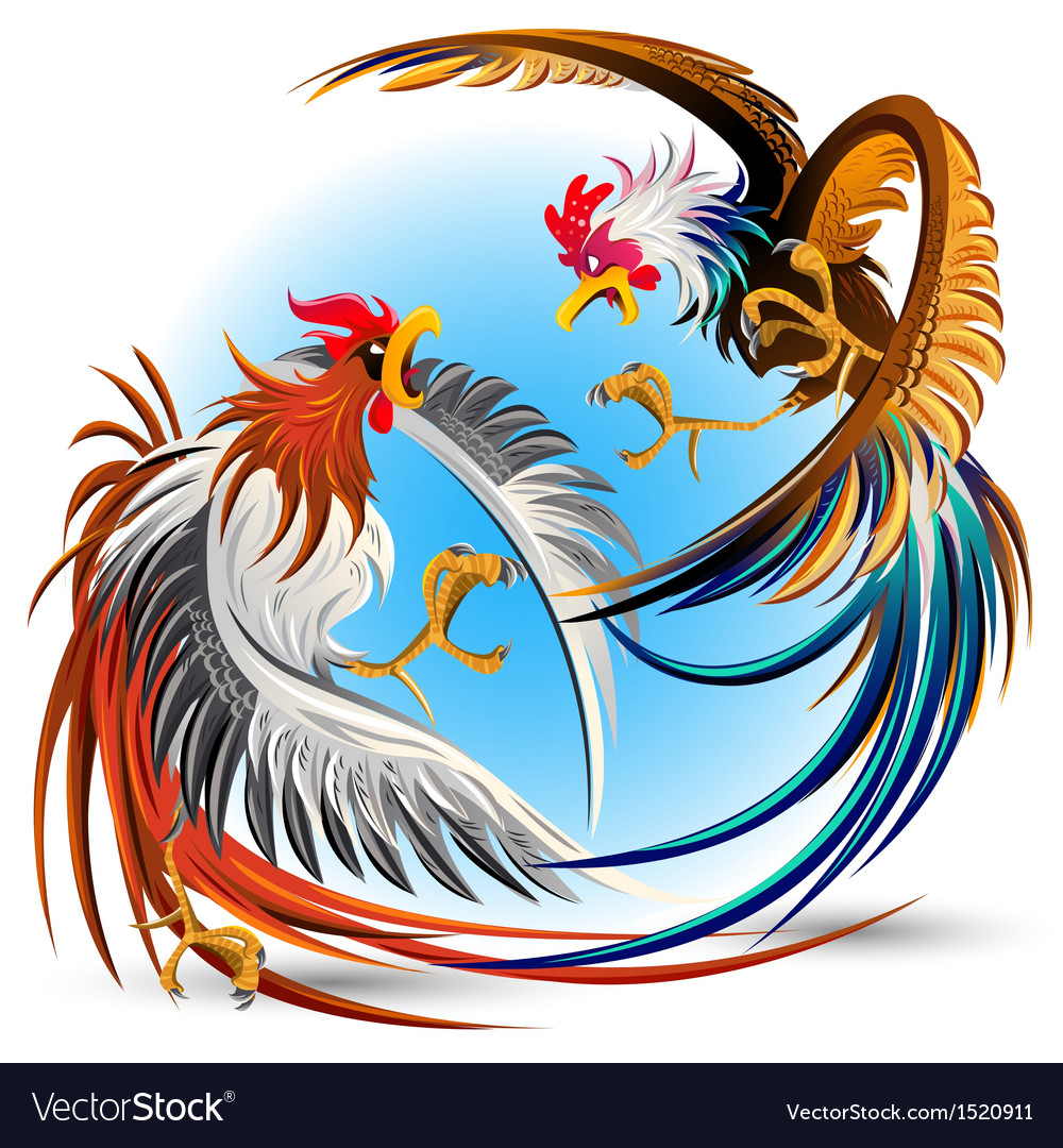 Cockfight Fighting Cocks Royalty Free Vector Image