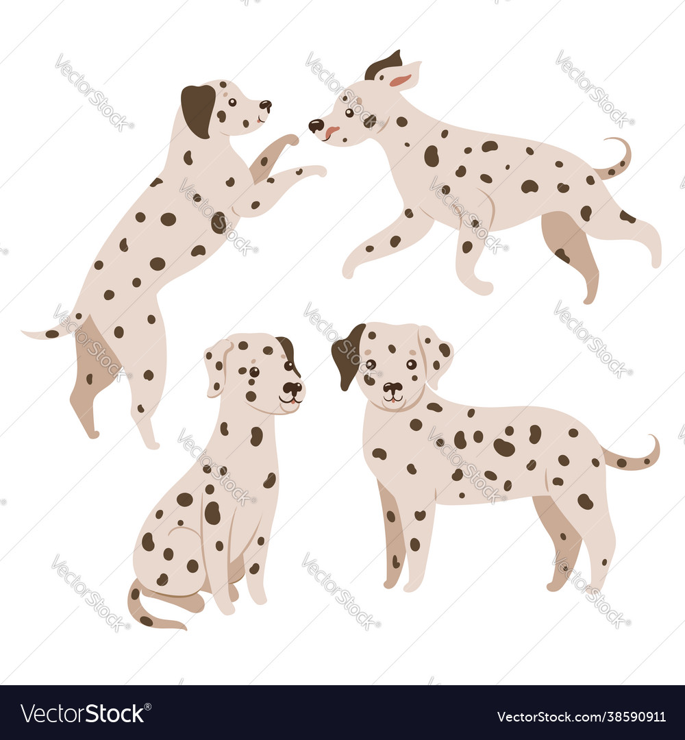 Set dalmatian dogs isolated on white background Vector Image