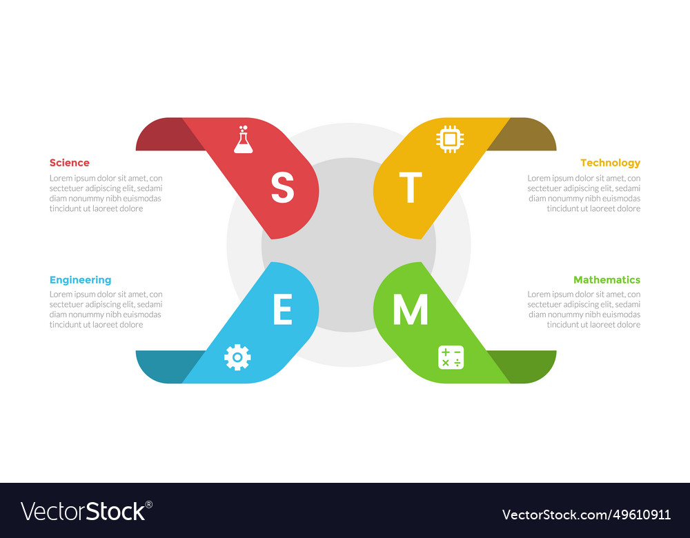 Stem education infographics template diagram Vector Image