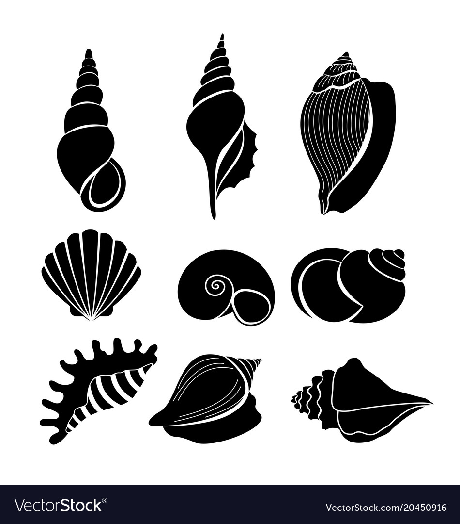 Set sea shells black Royalty Free Vector Image