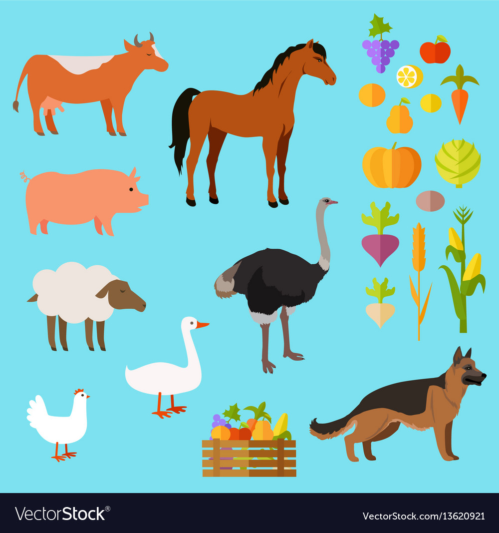 Domestic animals set near fruit and vegetable Vector Image Domestic animals set near fruit and vegetable Vector Image