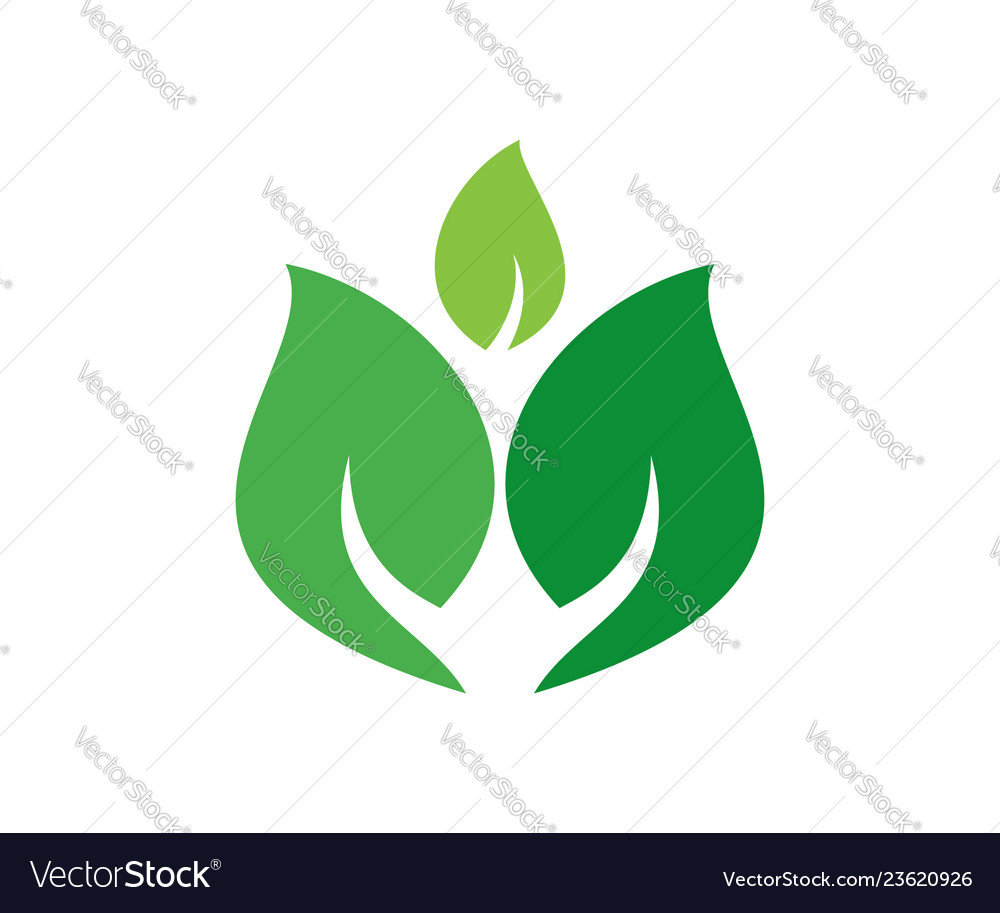 Green leaves star flower logo designlogo leaf