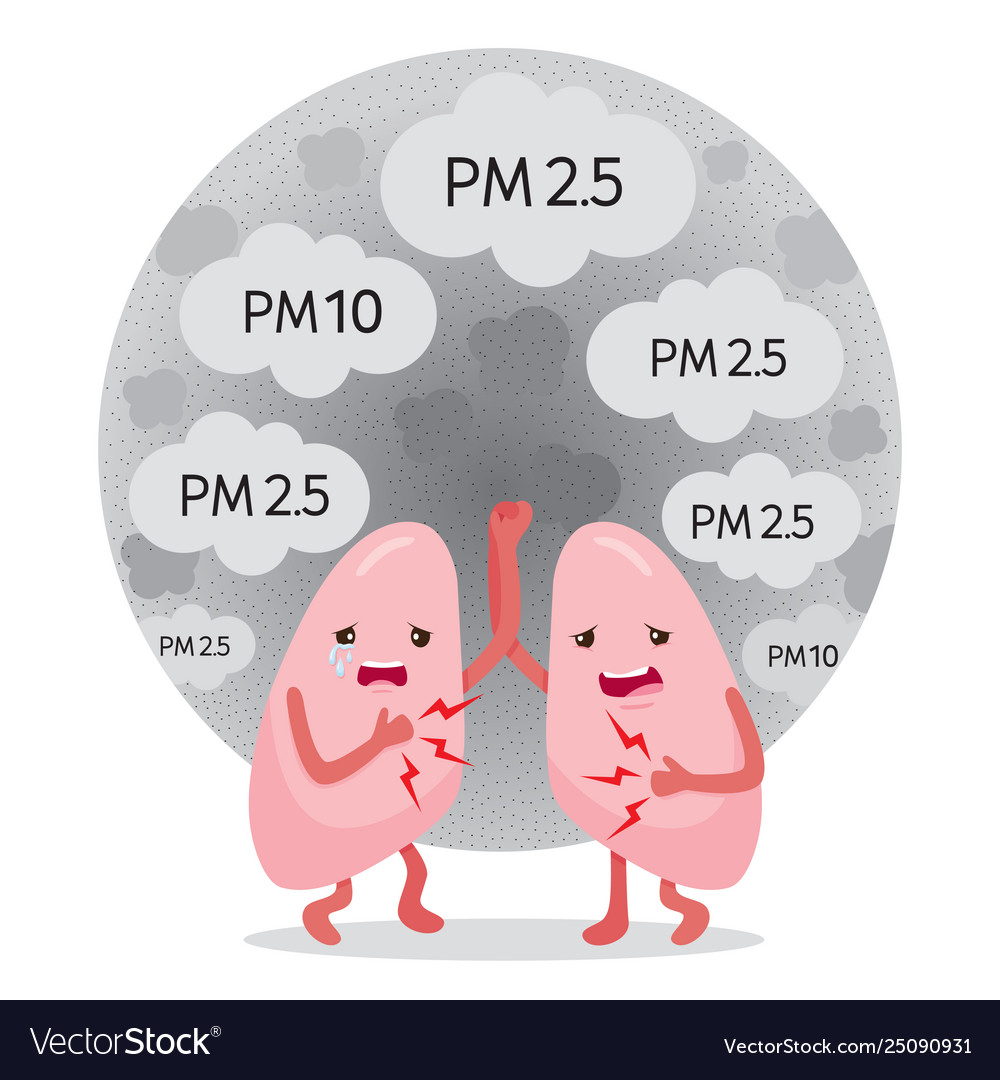 Lungs sick from dust pm25 pm10 smoke smog Vector Image