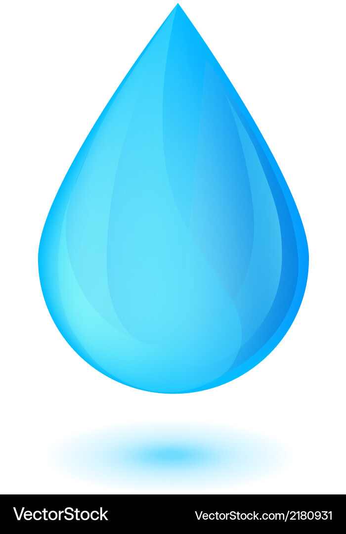 Water drop Royalty Free Vector Image - VectorStock