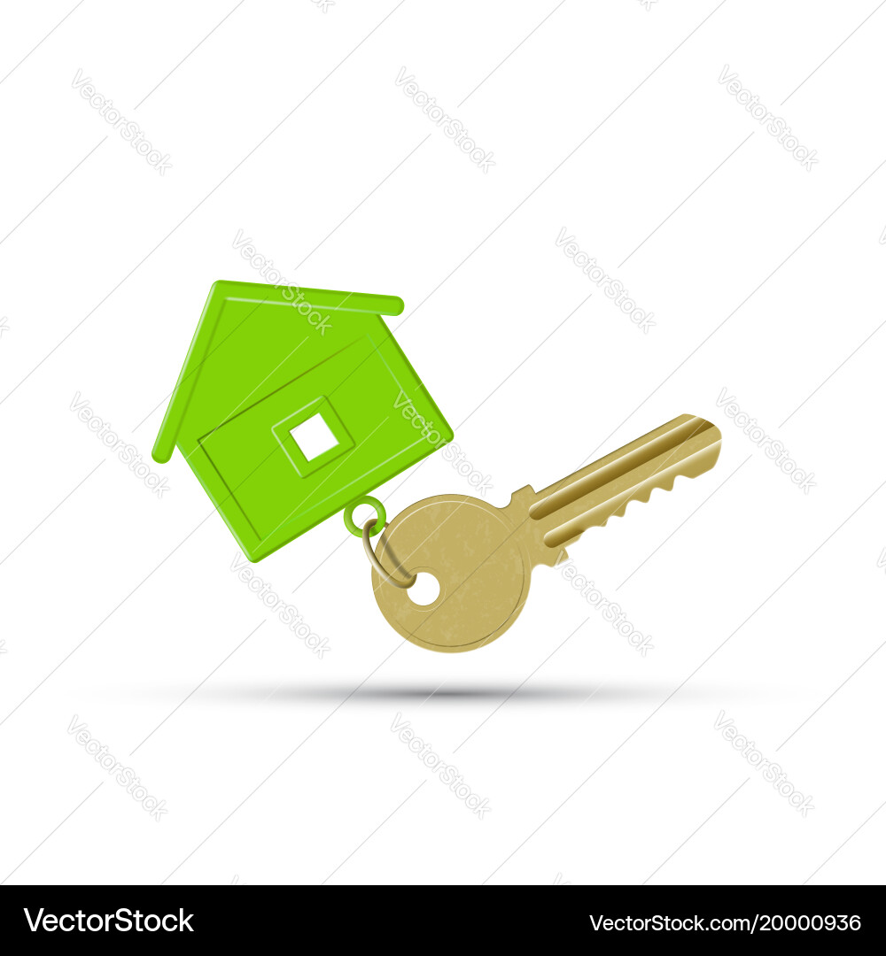 Key with keychain Royalty Free Vector Image - VectorStock