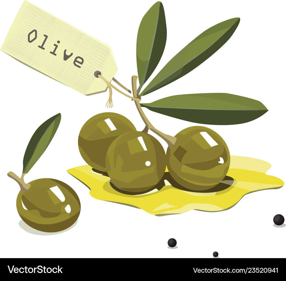 Olive branch Royalty Free Vector Image - VectorStock