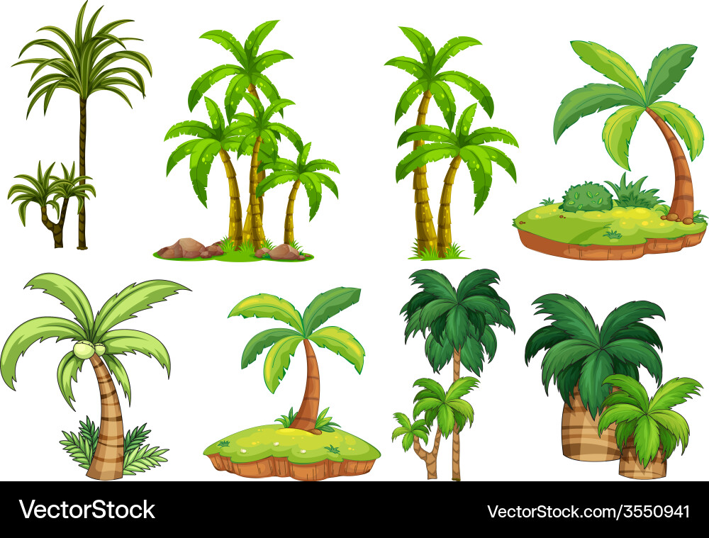 Palm trees Royalty Free Vector Image - VectorStock