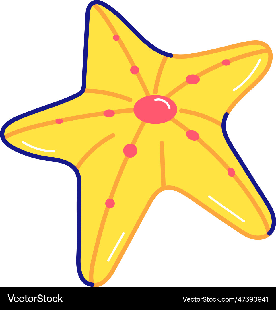 Starfish Royalty Free Vector Image - VectorStock