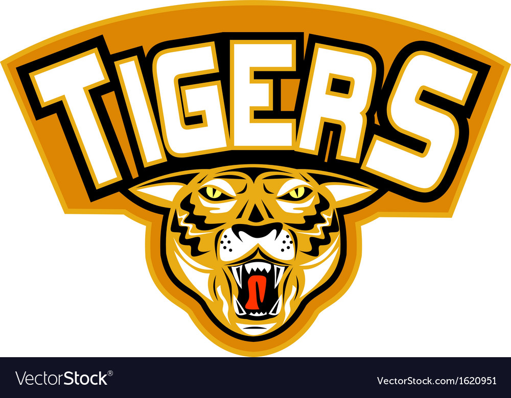 Tiger sports mascot head front Royalty Free Vector Image