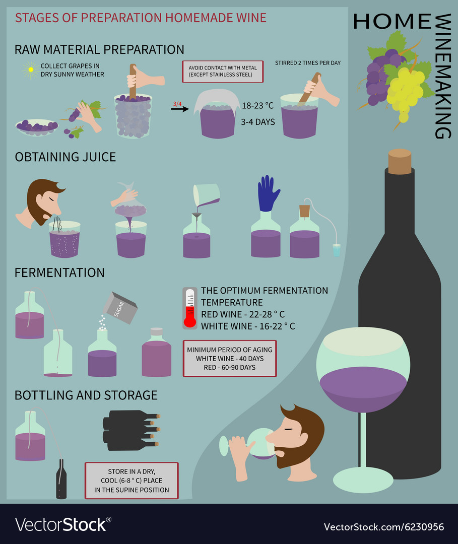 grape wine making at home