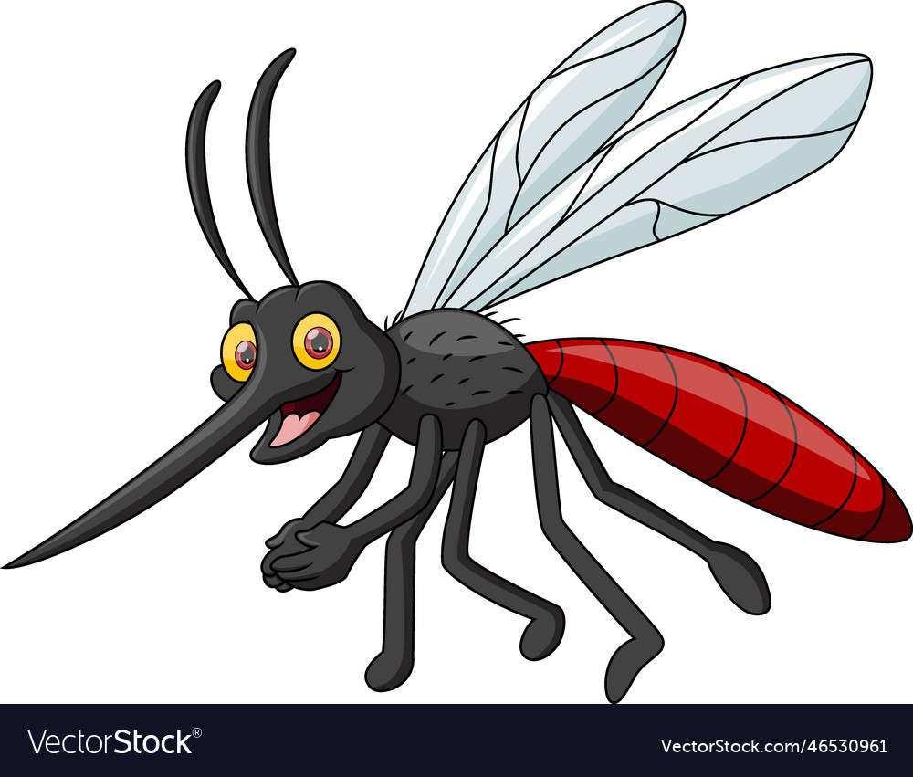 Cute mosquito cartoon on white background Vector Image