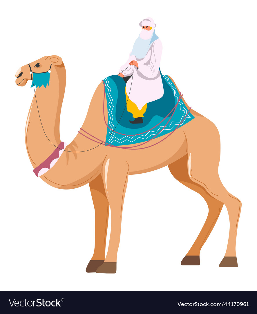 Sheikh On Camel Arabic Country Transport Fun Vector Image