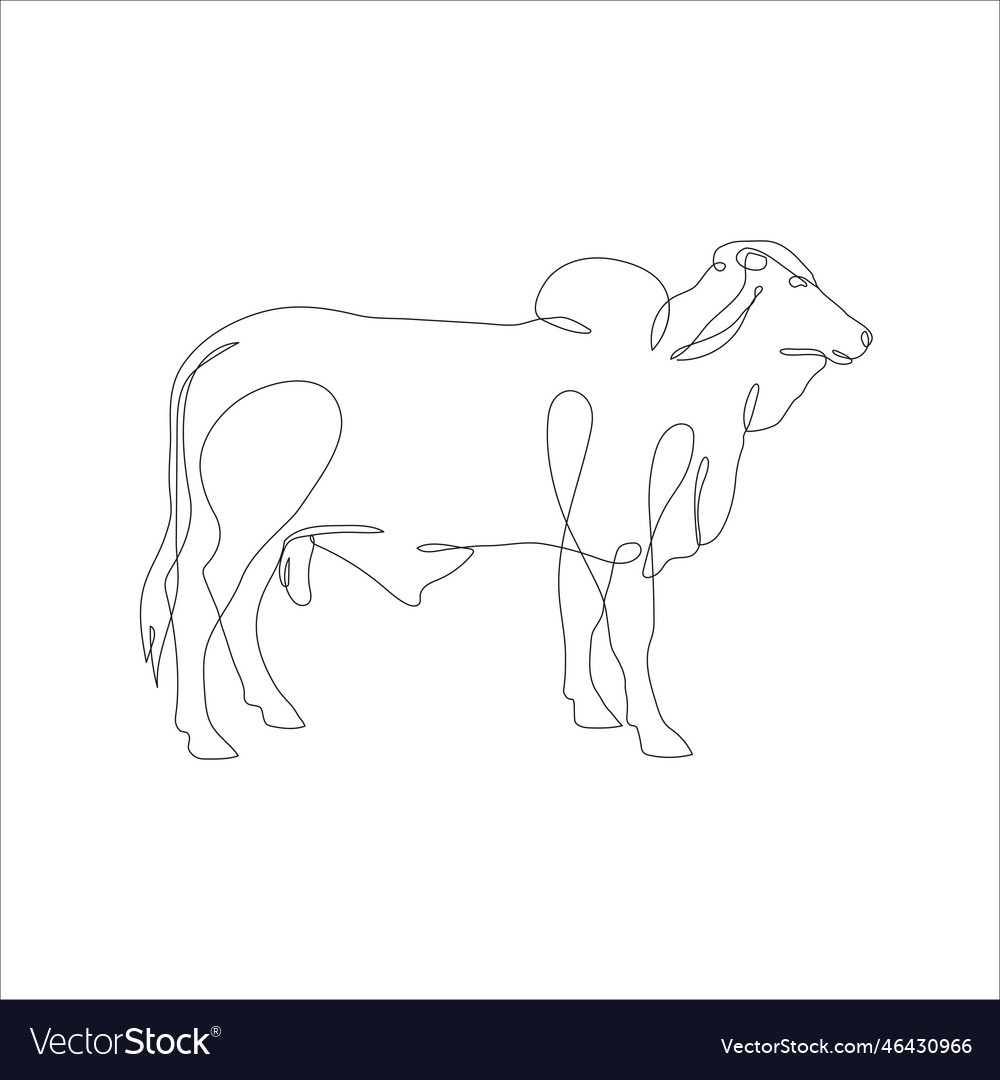 Drawing of a continuous line of cattle Royalty Free Vector