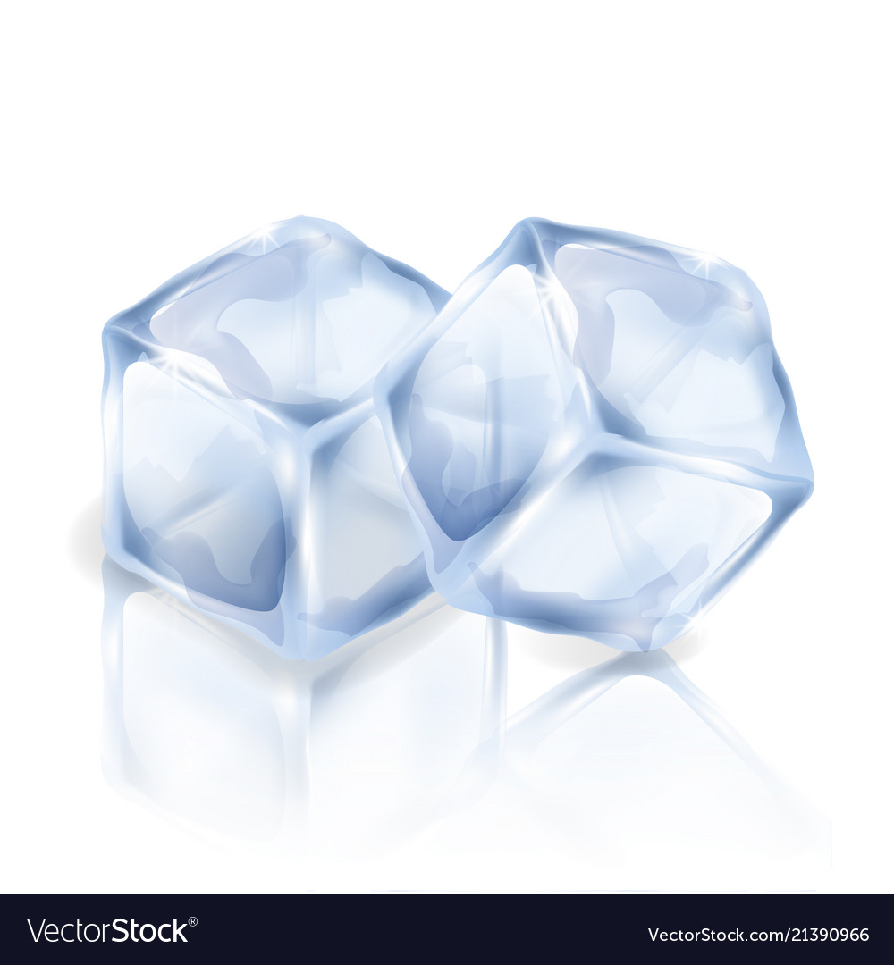 Single ice cube isolated on a white background Vector Image