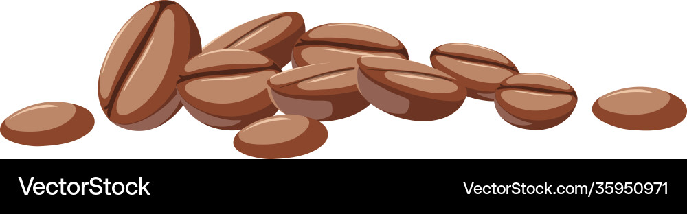 Coffee beans on white background Royalty Free Vector Image