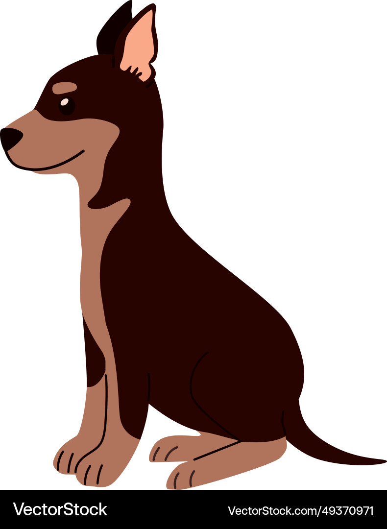 Dog small sitting Royalty Free Vector Image - VectorStock