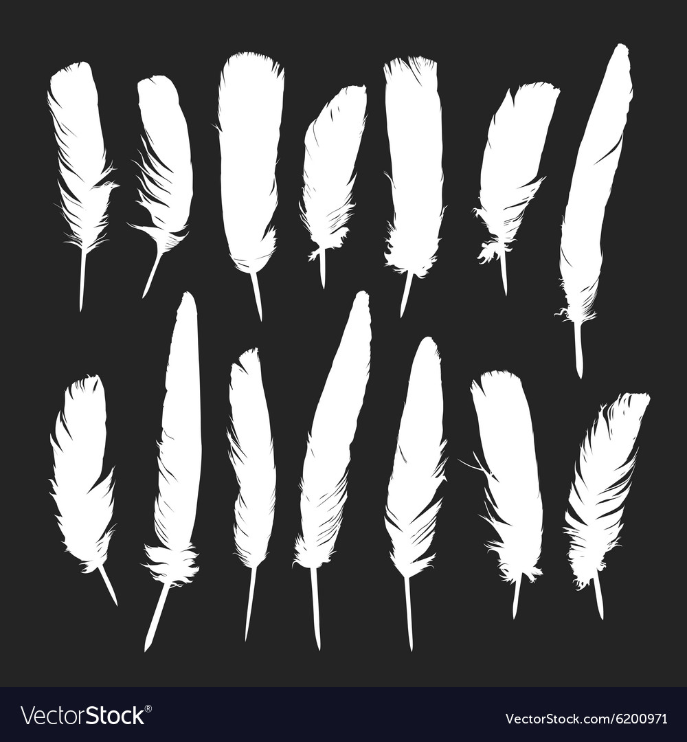 Feathers silhouettes set Royalty Free Vector Image