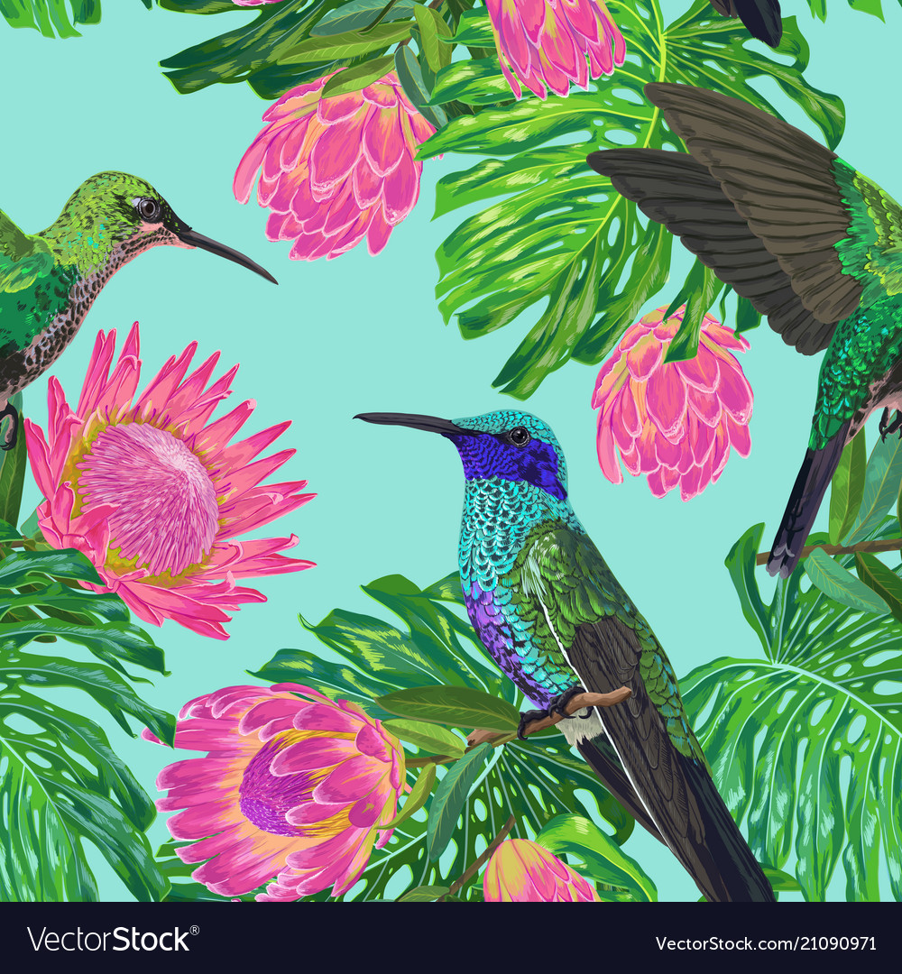 Floral tropical seamless pattern with humming bird vector image Floral tropical seamless pattern with humming bird