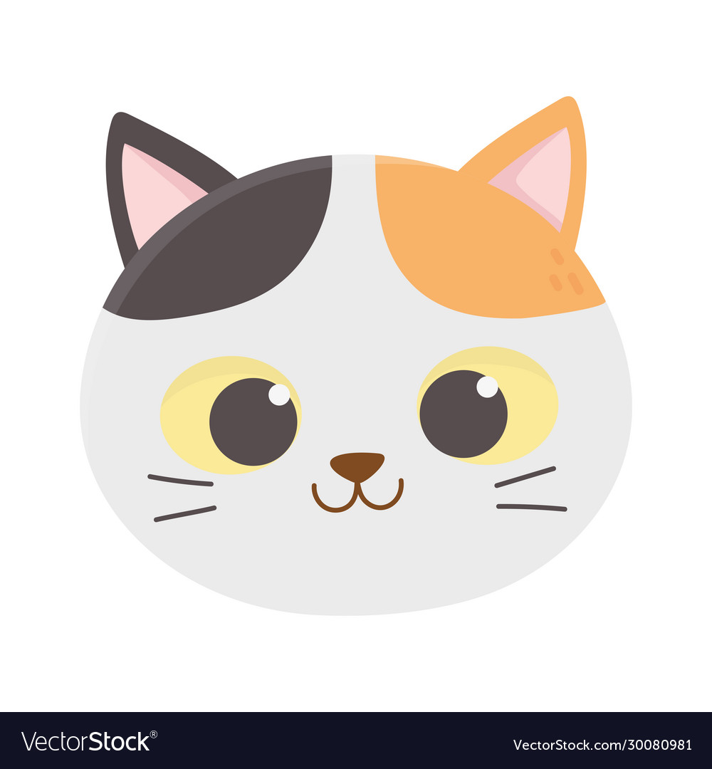 Premium Vector  Cat face icon white kitten profile avatar