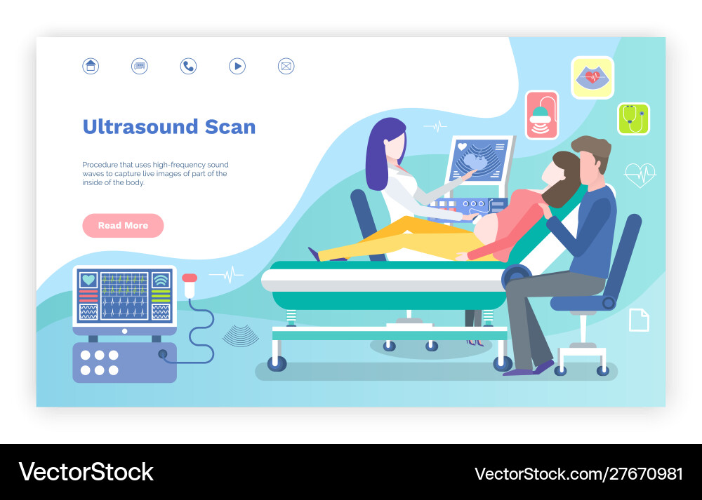 Ultrasound scan pregnancy diagnostics website Vector Image