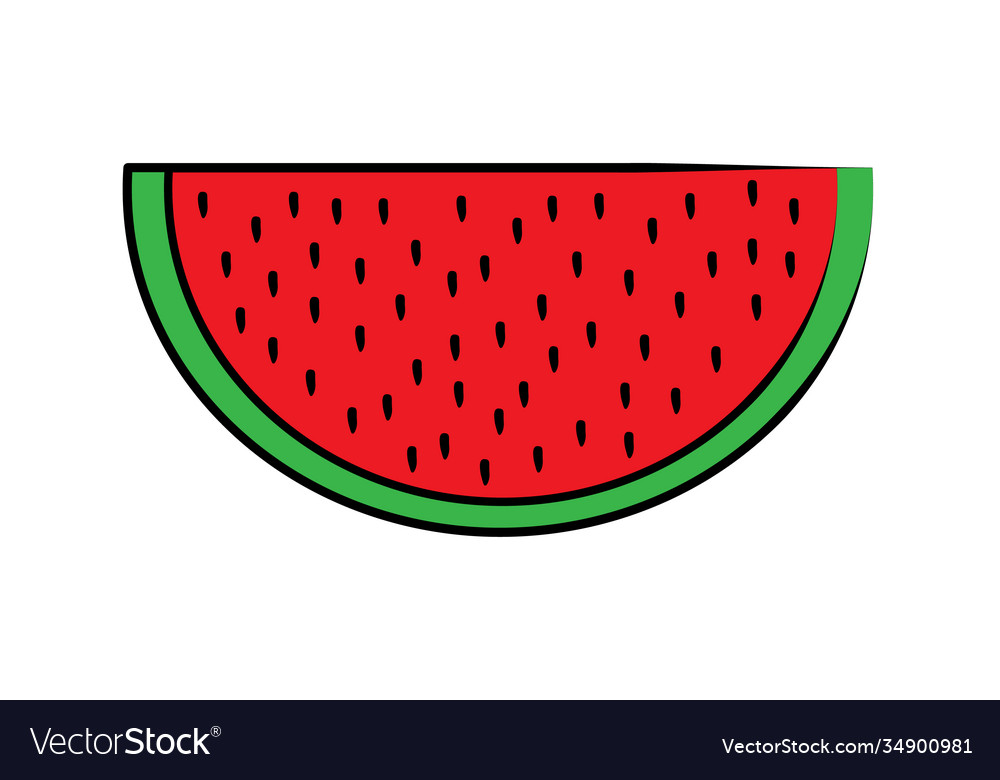 Watermelon fruit slice or cross section with seeds