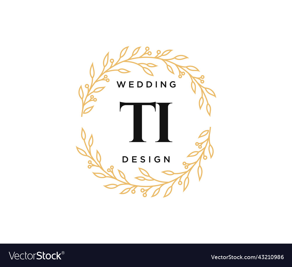 Ti initials letter wedding monogram logos Vector Image