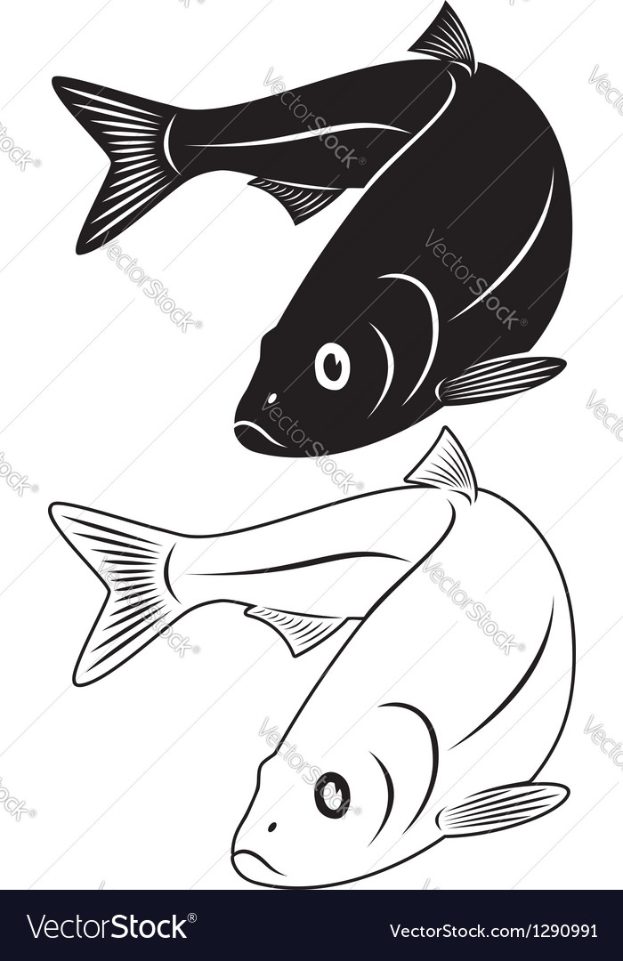 Herring fish Royalty Free Vector Image VectorStock