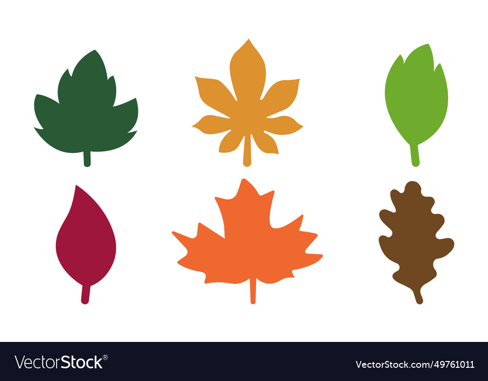 Set of autumn colorful leaves isolated on white Vector Image