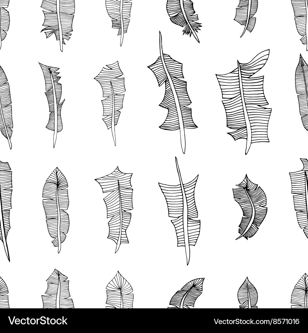 Feathers pattern background Royalty Free Vector Image