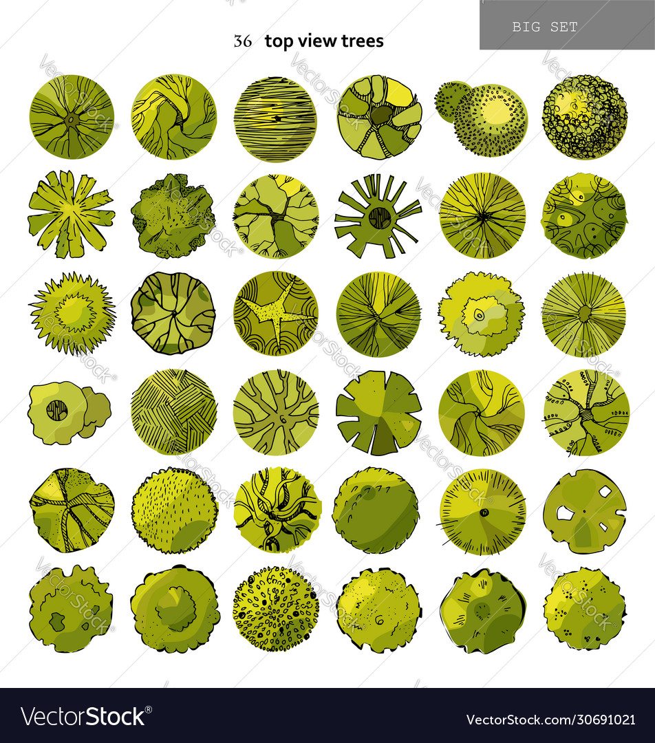 Top view big set different treeshand Royalty Free Vector