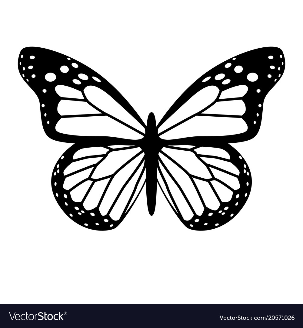 Black And White Butterfly Royalty Free Vector Image