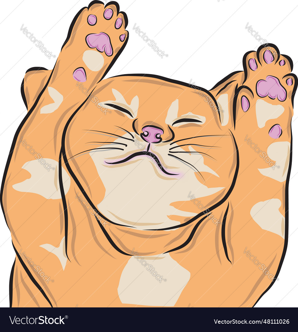 Cute cat lying down Royalty Free Vector Image - VectorStock