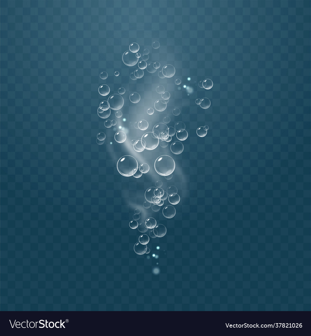 Realistic sparkling air bubbles in water bubbles Vector Image