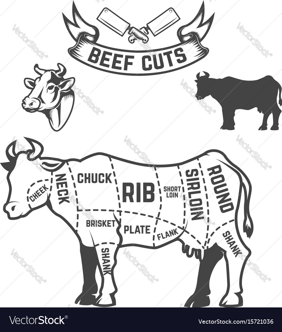 Beef Cuts Butcher Diagram Cow On White Background Vector Image