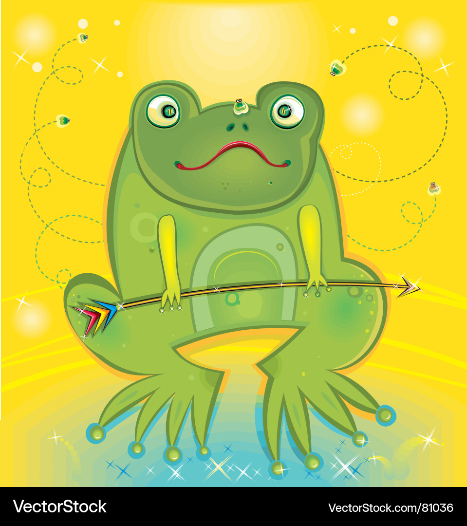 Vector Frog Looking In Frog Royalty Free Vector Image - VectorStock