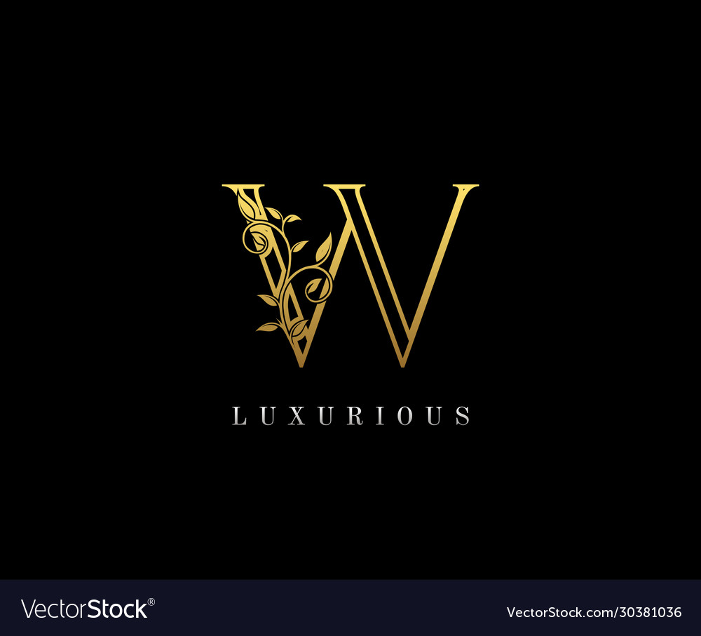 Gold w letter floral hand drawn logo design Vector Image