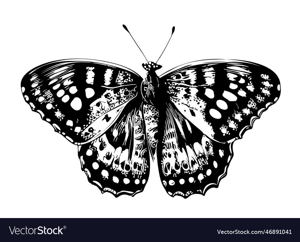 Butterfly beautiful hand drawn sketch Royalty Free Vector