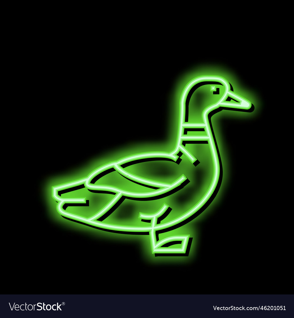 Duck bird neon glow icon Royalty Free Vector Image