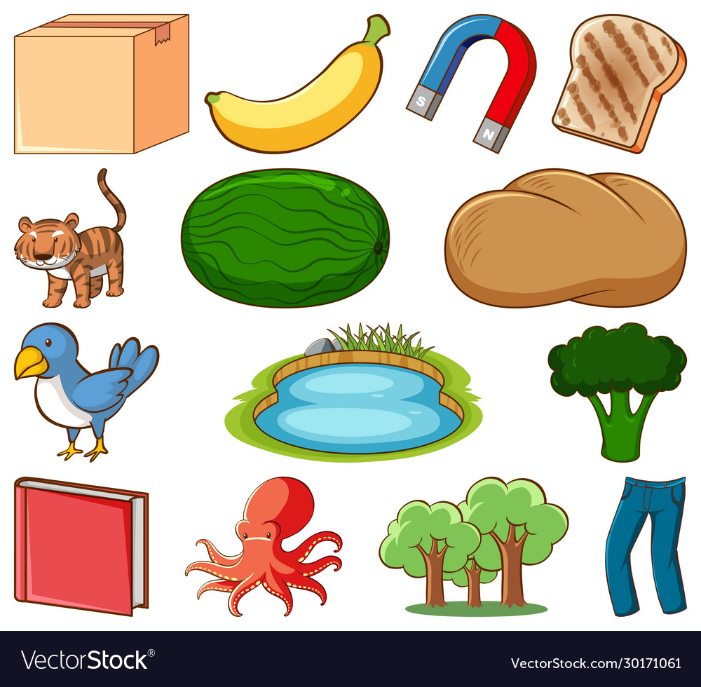 Large set different food and other items Vector Image Large set different food and other items Vector Image