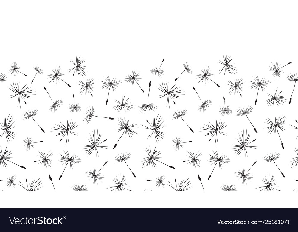 Black and white dandelion seeds seamless Vector Image