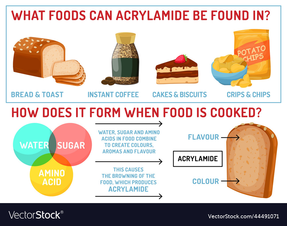 what-foods-can-acrylamide-be-found-royalty-free-vector-image