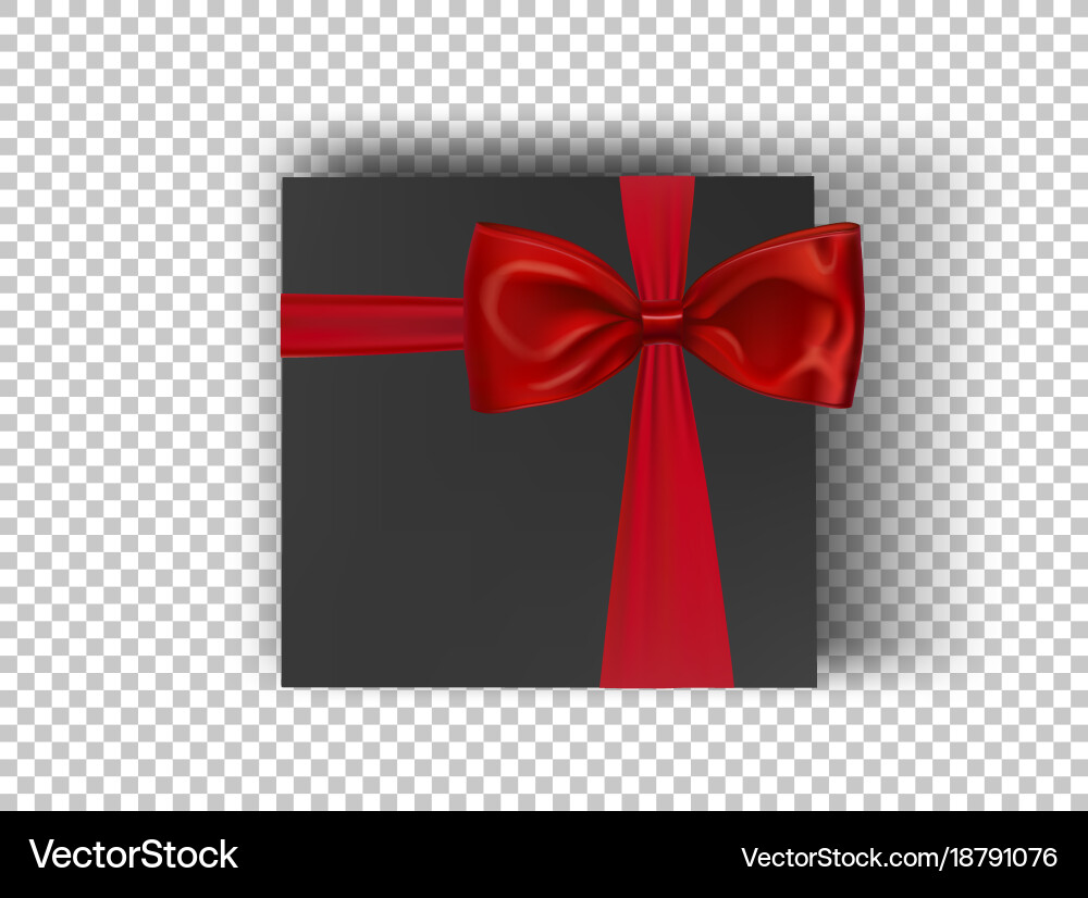 White squares cardboard box with red ribbon Vector Image